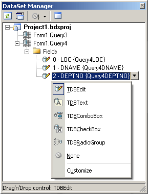 DSManager_Fields