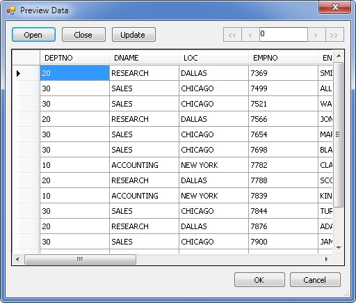 Previewing data