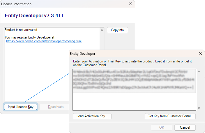 entity_developer_activate_in_application