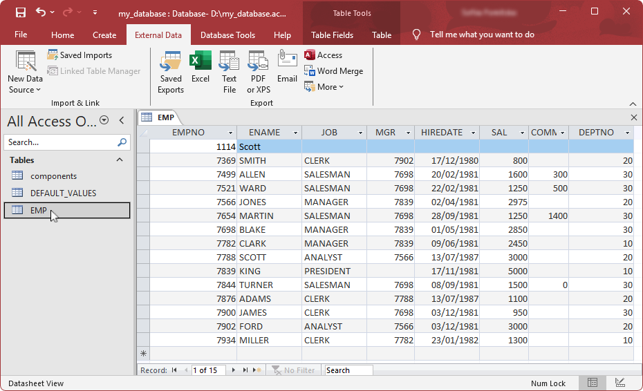 The imported table appeared in the Tables navigation pane displaying its contents