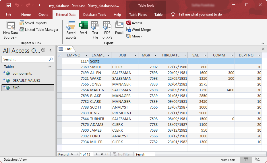 The linked table appeared in the Tables navigation pane displaying its contents