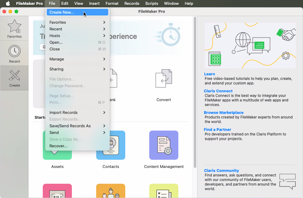 The extended File menu for FileMaker Pro