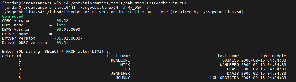 A connection test and an executed SQL query