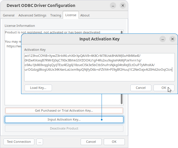 Input Activation Key dialog