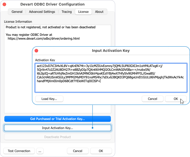 Input Activation Key dialog