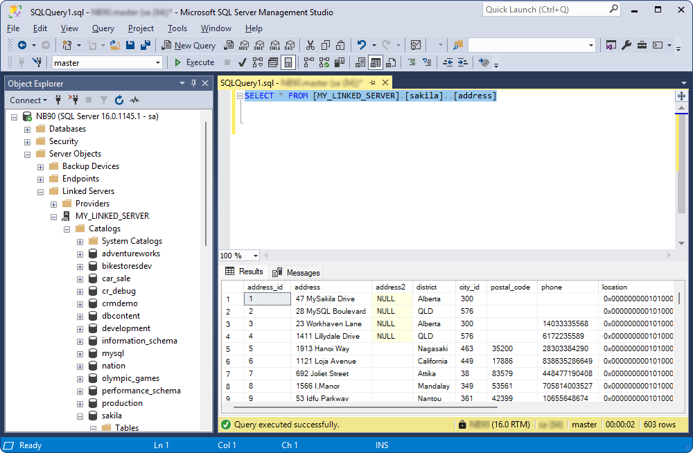 The executed query result
