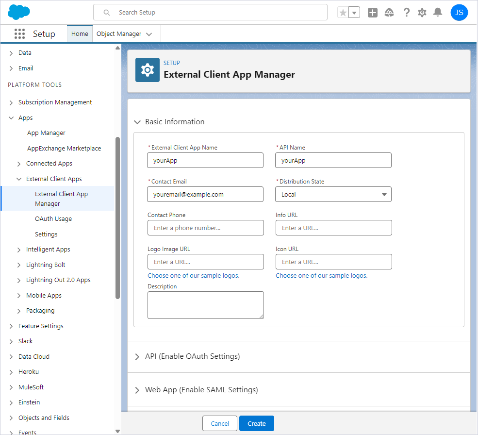 Basic information about client app