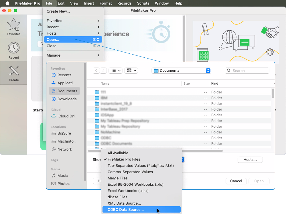FileMaker Pro and a dialog with the extended list of file types