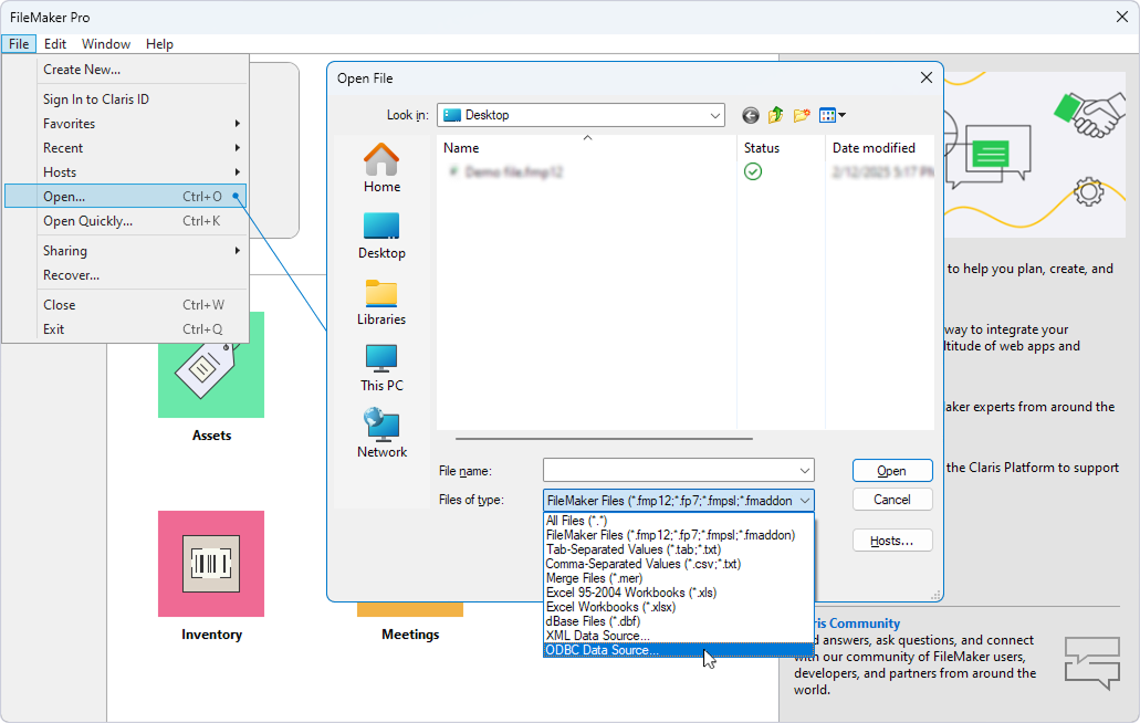 The Open File dialog in FileMaker Pro with the extended list of file types