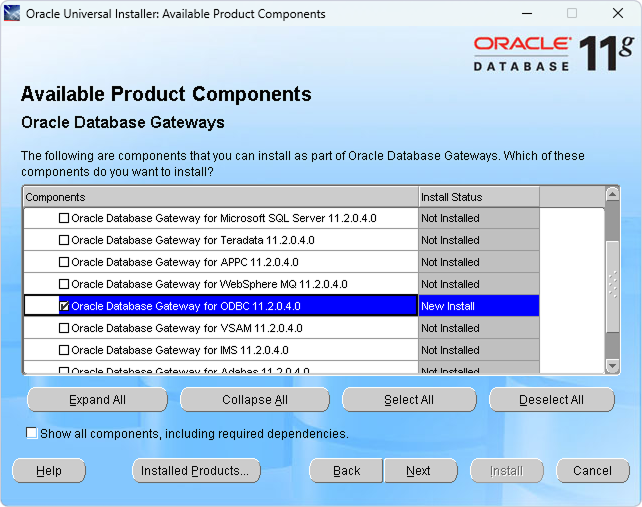 Specify Oracle Database Gateway for ODBC checkbox