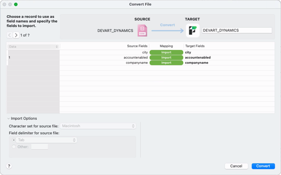 The Convert File dialog with mapped fields and the Import Summary