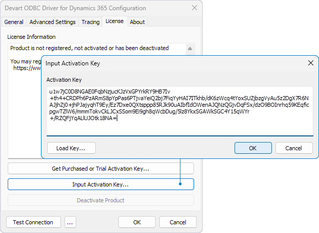 Input Activation Key