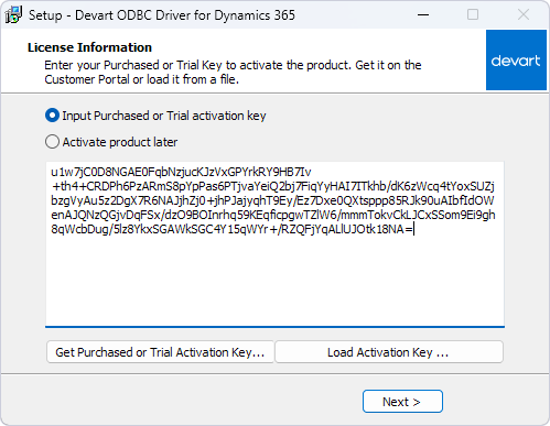 The License Information page with an entered activation key