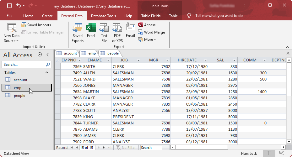 The imported table appeared in the Tables navigation pane displaying its contents