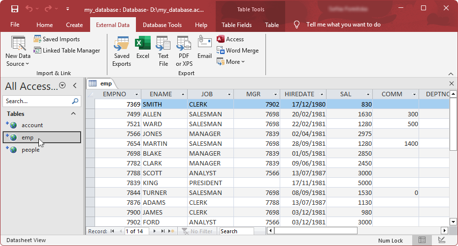The linked table appeared in the Tables navigation pane displaying its contents