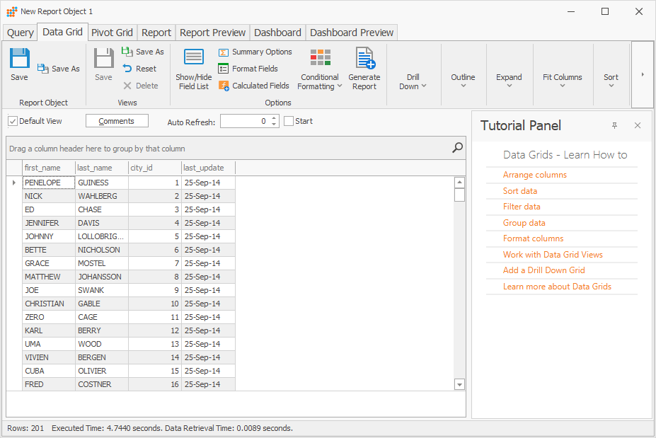 The Data Grid tab of the New Report Object