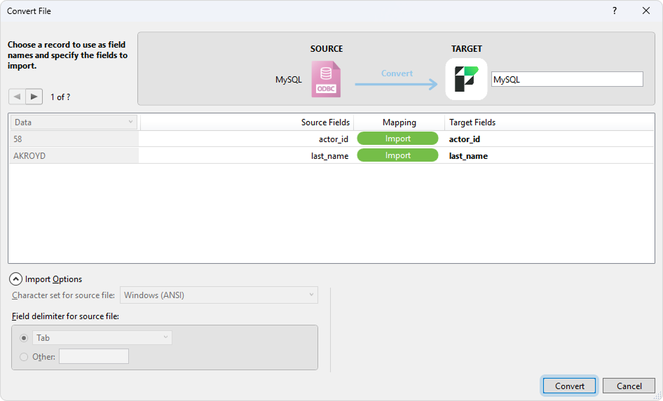 The Convert File dialog with mapped fields and the Import Summary