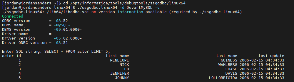 A connection test and an executed SQL query