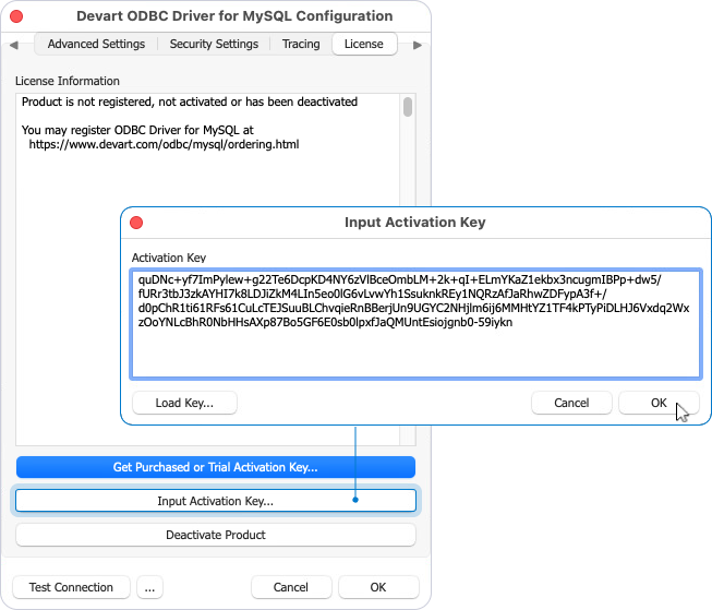 Input Activation Key dialog