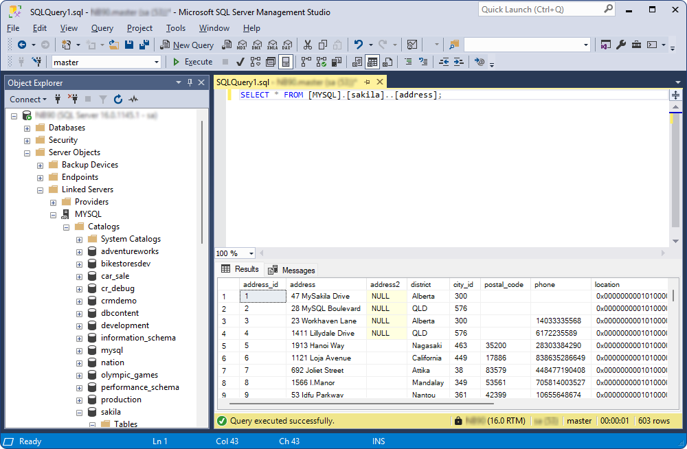 The executed query result