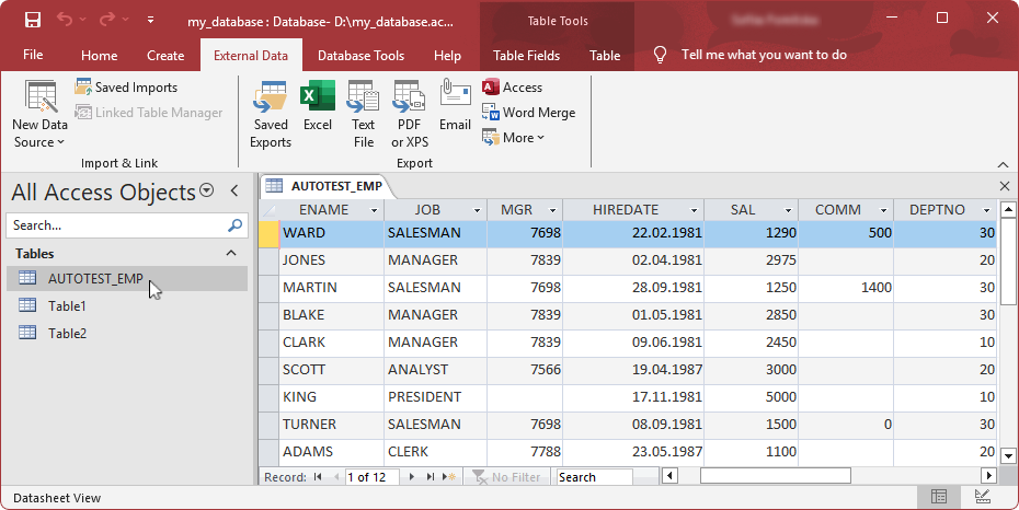 The imported table appeared in the Tables navigation pane displaying its contents