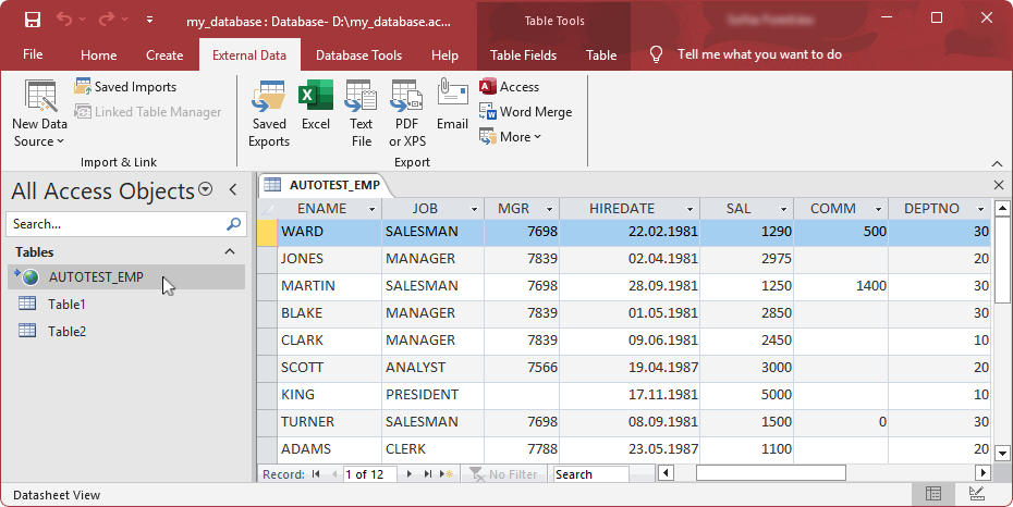 The linked table appeared in the Tables navigation pane displaying its contents