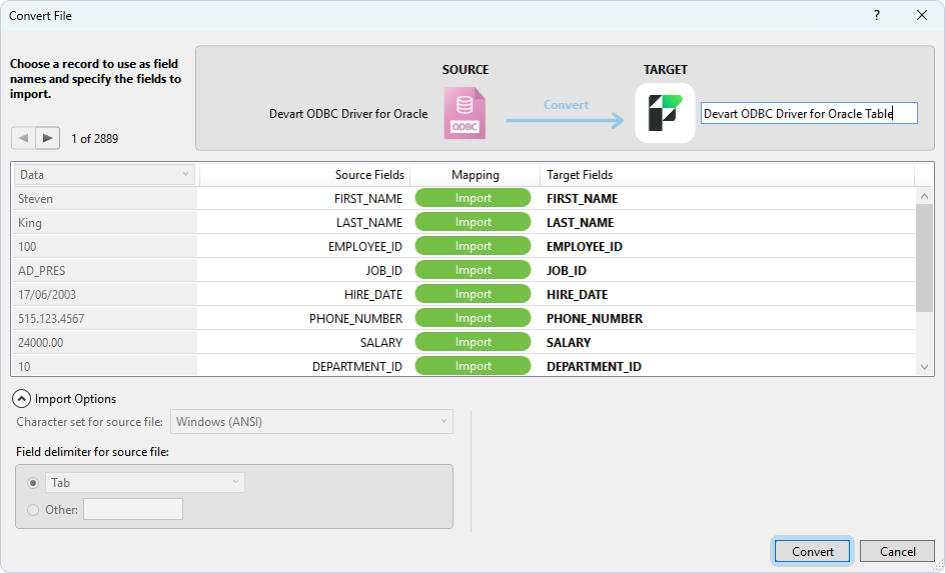 The Convert File dialog with mapped fields and the Import Summary
