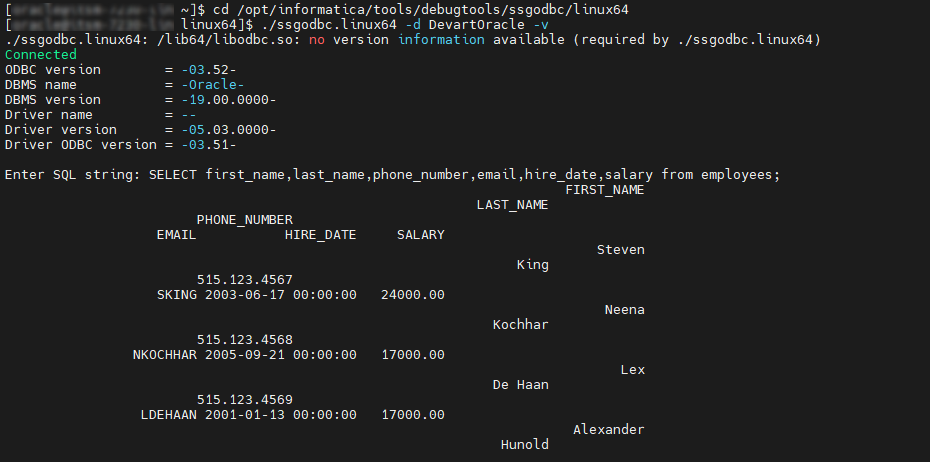 A connection test and an executed SQL query