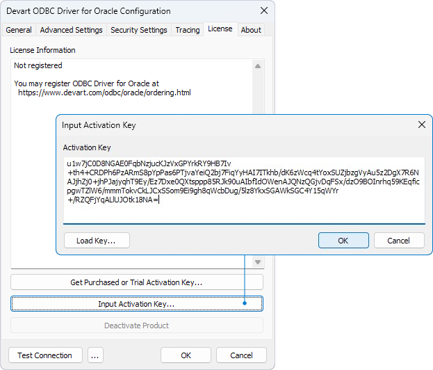 Input Activation Key