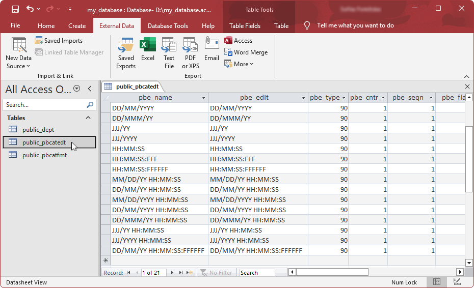 The imported table appeared in the Tables navigation pane displaying its contents