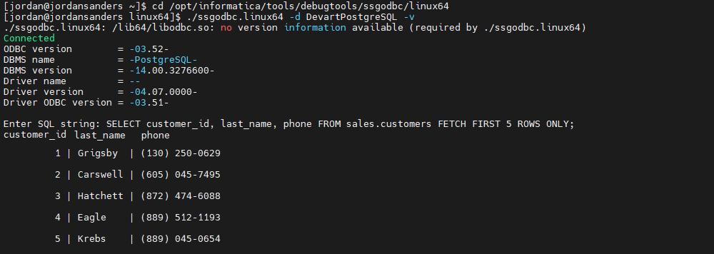 A connection test and an executed SQL query