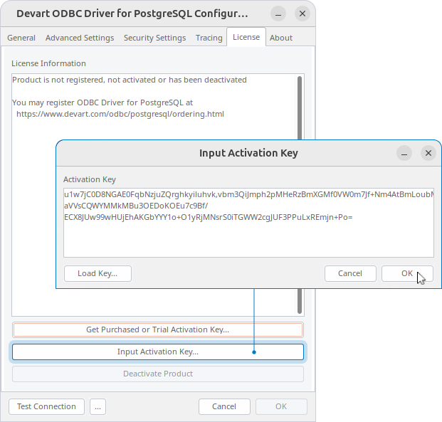 Input Activation Key dialog