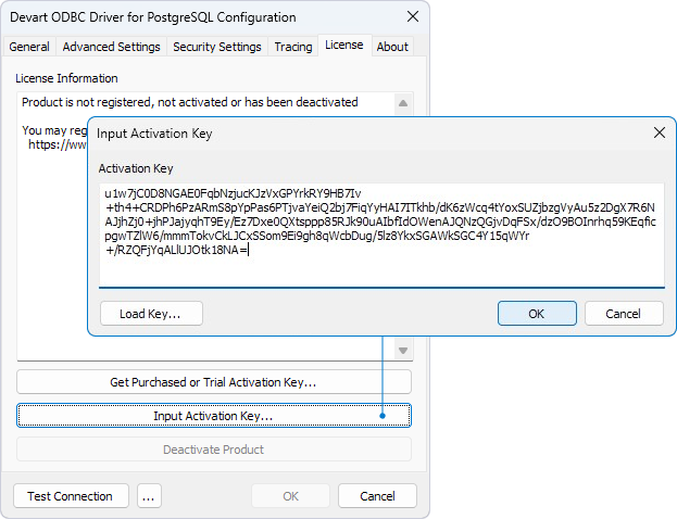 Input Activation Key