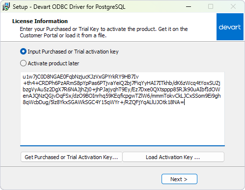 The License Information page with an entered activation key