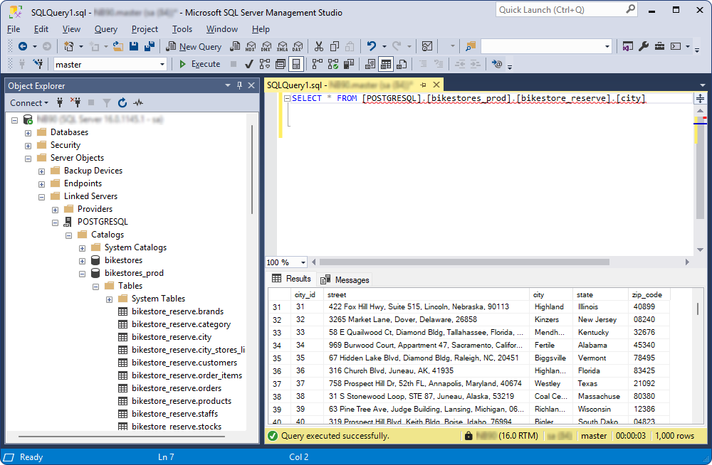 The executed query result