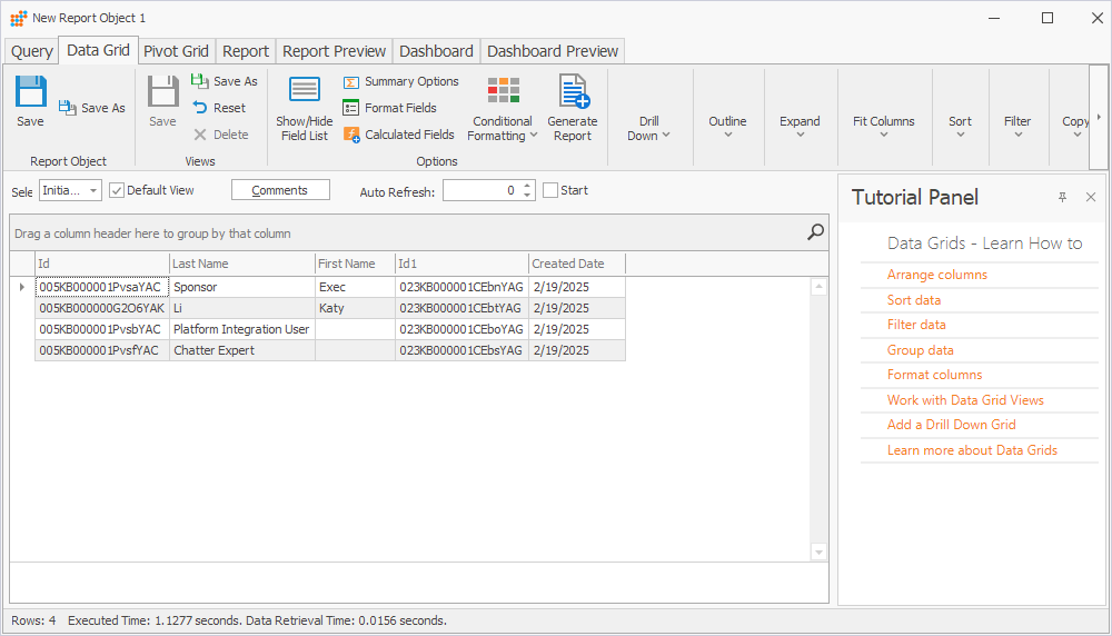 The Data Grid tab of the New Report Object