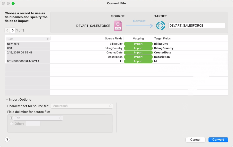 The Convert File dialog with mapped fields and the Import Summary