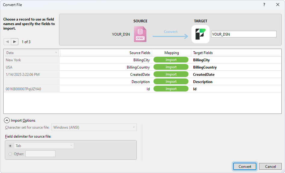 The Convert File dialog with mapped fields and the Import Summary