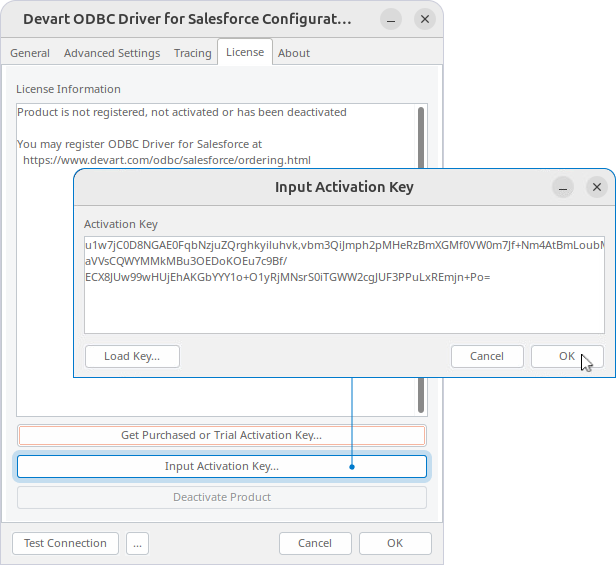 Input Activation Key dialog