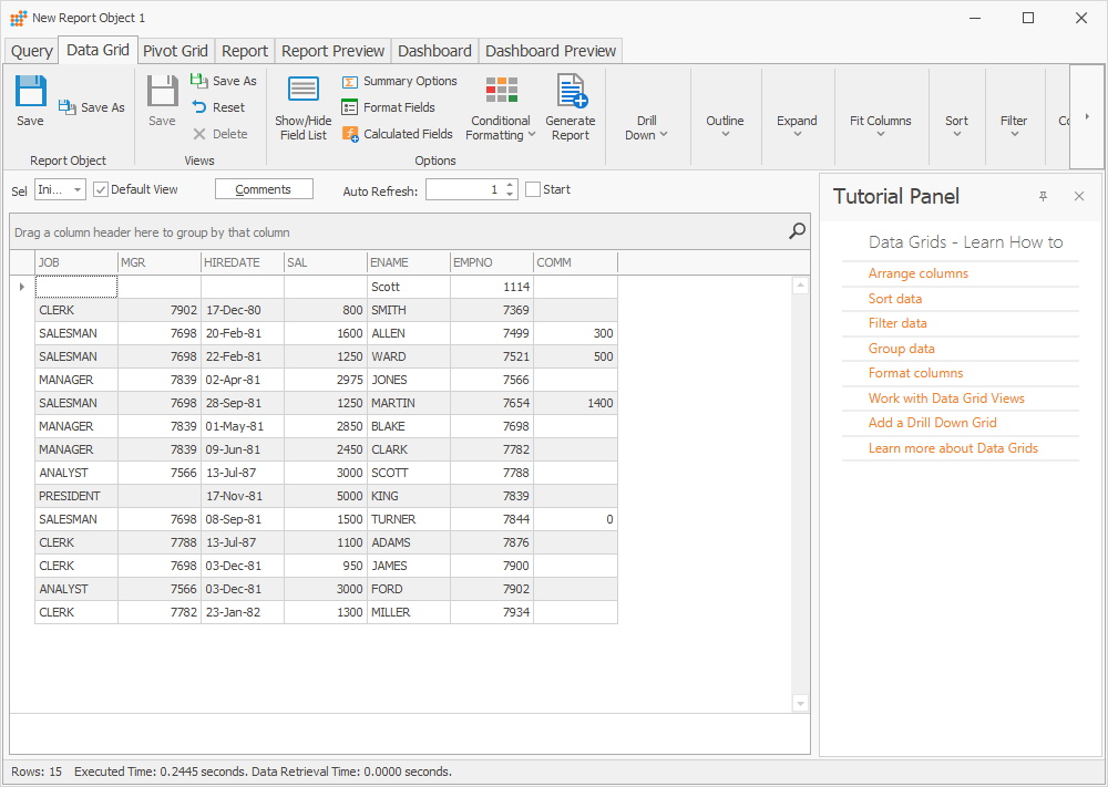 The Data Grid tab of the New Report Object
