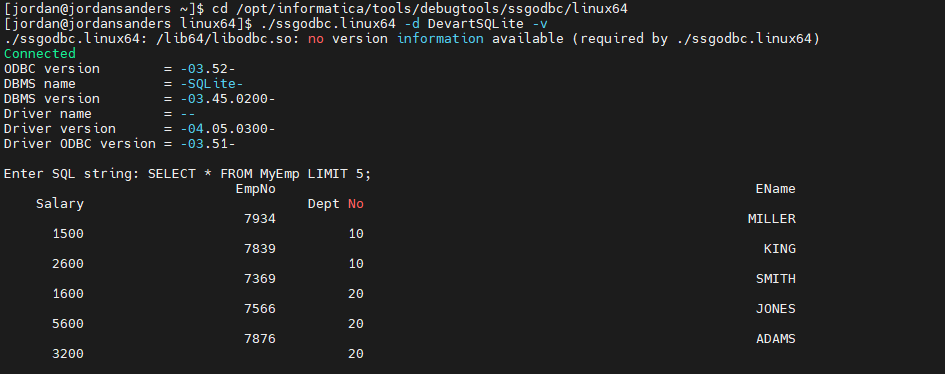 A connection test and an executed SQL query