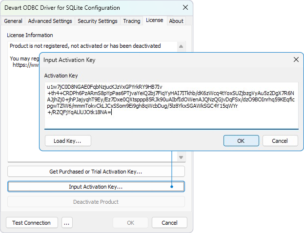 Input Activation Key