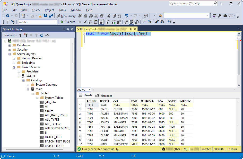 The executed query result