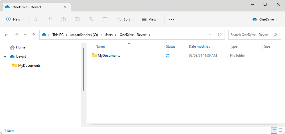 File Explorer