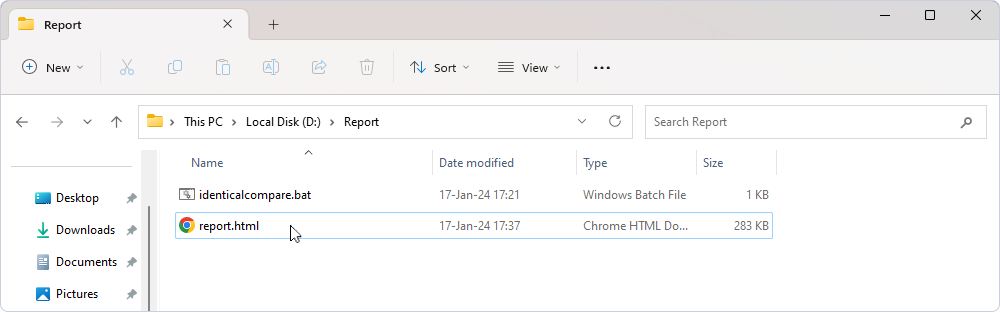 Report generated for the identical databases