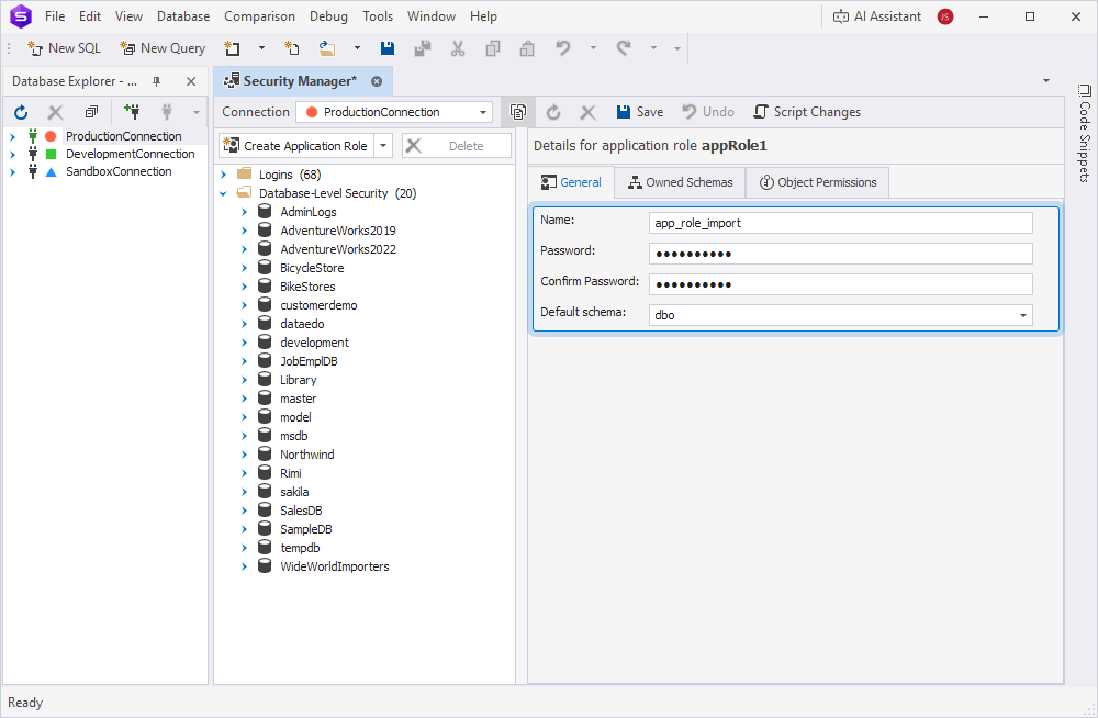 The General tab with details for a new application role in the Security Manager window