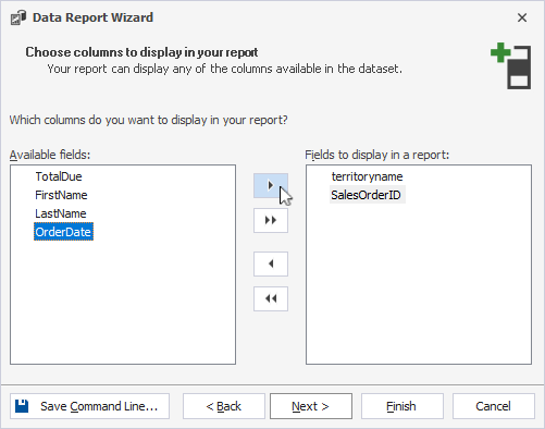 The Choose columns to display in your report page of the Data Report Wizard with columns selected.