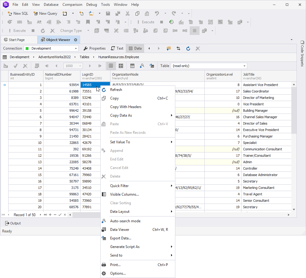 Object Viewer - Edit database object data