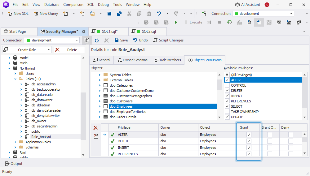 Grant permissions in Security Manager