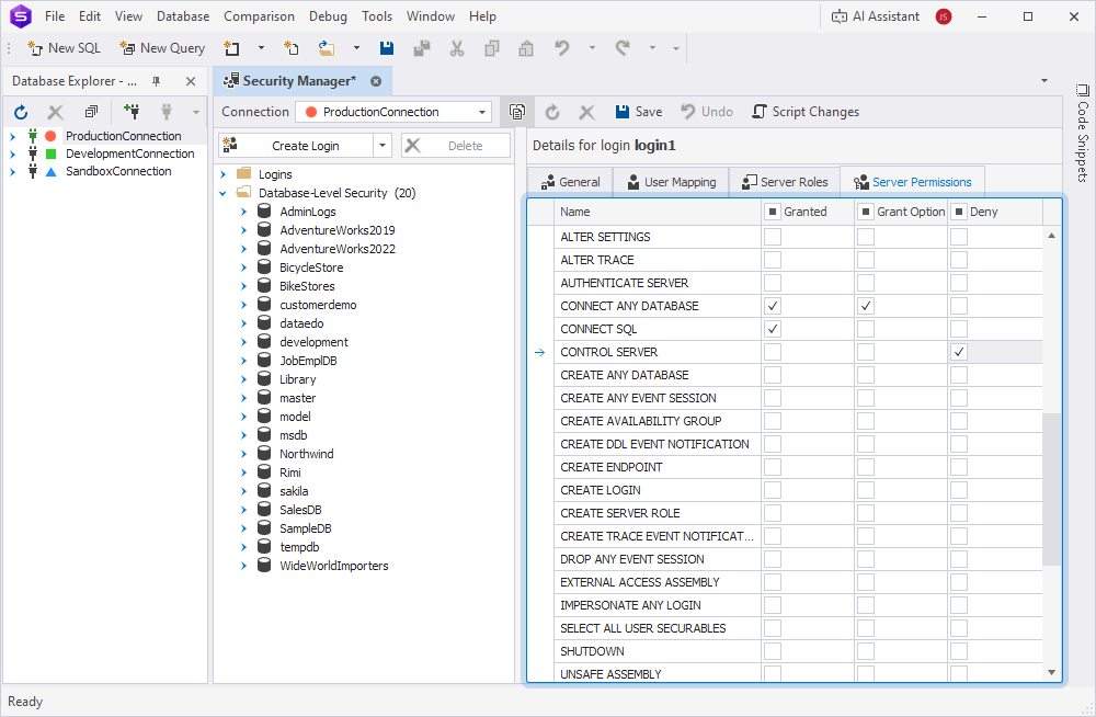 The Server Permissions tab with selected privileges in the Security Manager window
